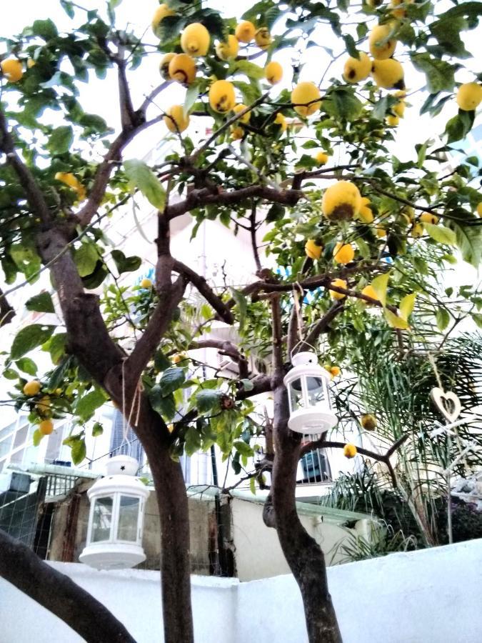 Willkommen In Einem Private Garden バーリ エクステリア 写真