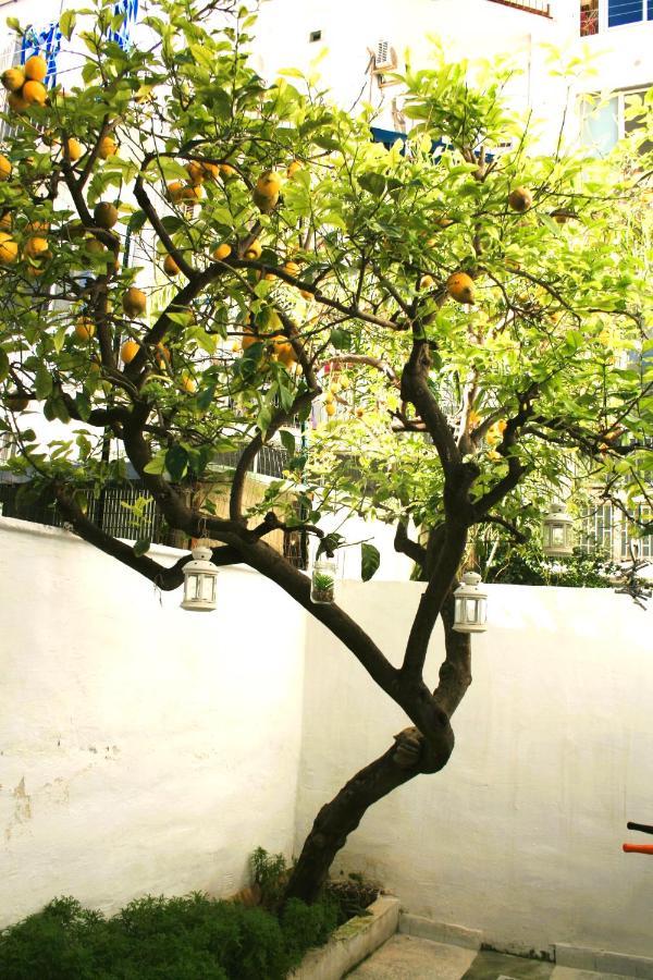 Willkommen In Einem Private Garden バーリ エクステリア 写真